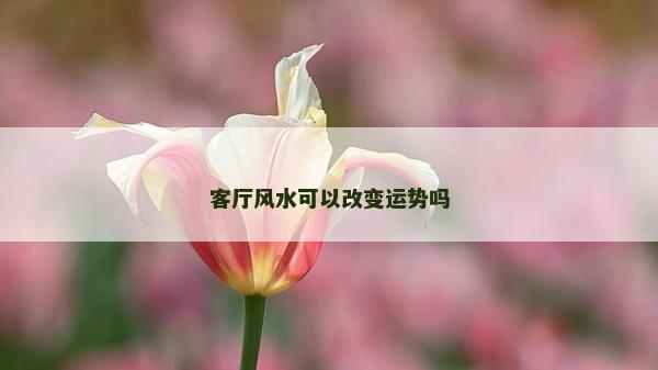 客廳風水可以改變運勢嗎