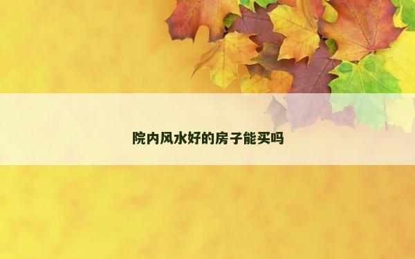 院內(nèi)風(fēng)水好的房子能買嗎