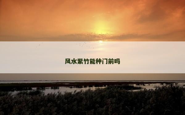 風水紫竹能種門前嗎