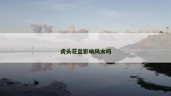 虎頭花盆影響風水嗎