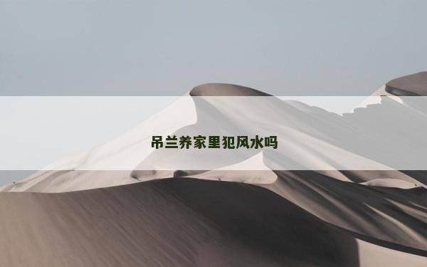 吊蘭養(yǎng)家里犯風(fēng)水嗎