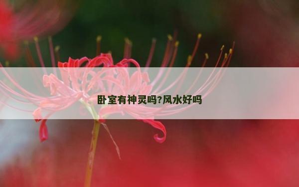臥室有神靈嗎?風(fēng)水好嗎