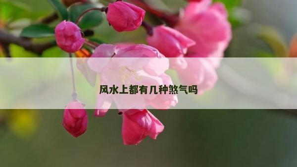 風(fēng)水上都有幾種煞氣嗎