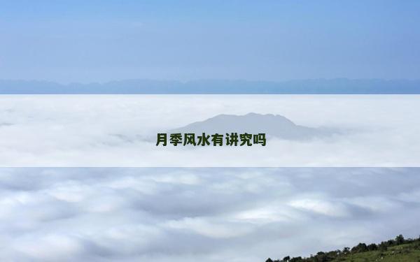 月季風水有講究嗎 月季風水有講究嗎