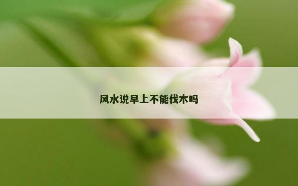 風水說早上不能伐木嗎