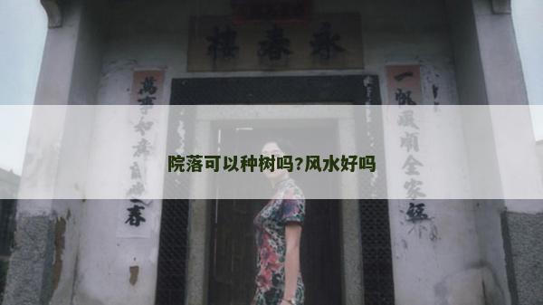 院落可以種樹嗎?風水好嗎
