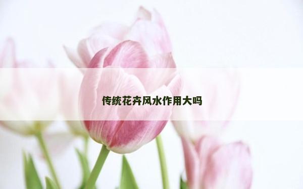 傳統花卉風水作用大嗎