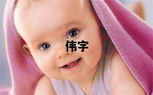 偉字五行屬什么 偉字男孩最佳組合名字