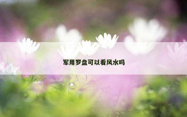 軍用羅盤可以看風(fēng)水嗎