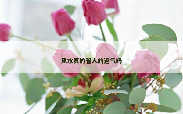風水真的管人的運氣嗎