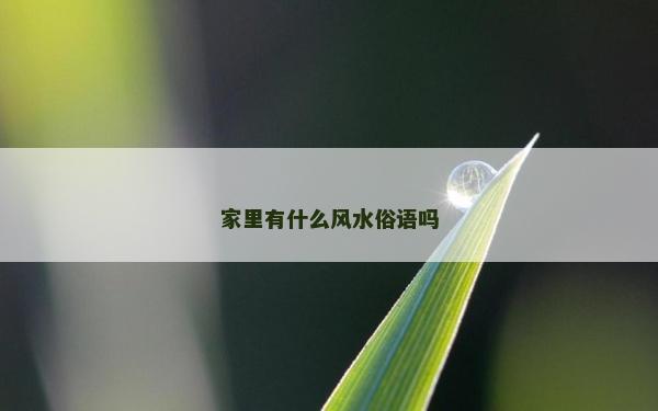 家里有什么風水俗語嗎