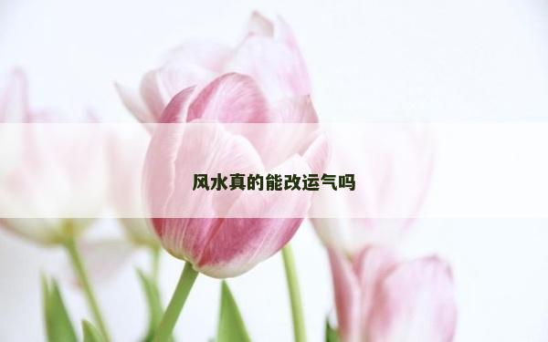 風水真的能改運氣嗎