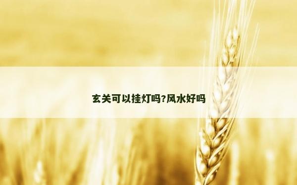 玄關(guān)可以掛燈嗎?風(fēng)水好嗎