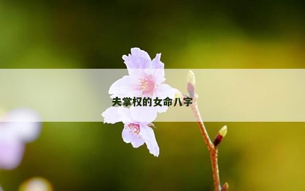 夫掌權的女命八字 夫掌權的女命八字