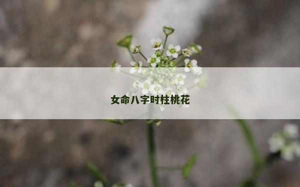 女命八字時柱桃花 女命八字時柱桃花