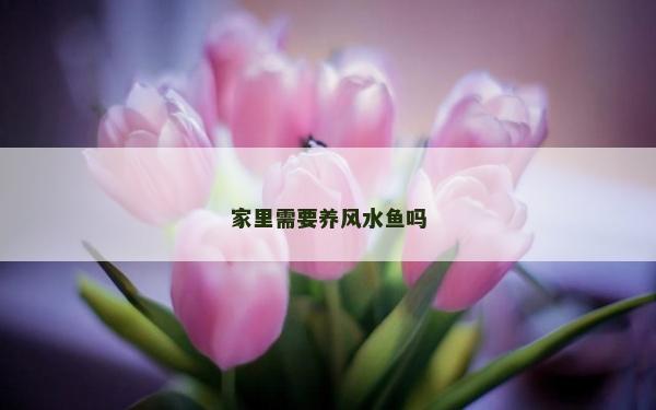 家里需要養(yǎng)風水魚嗎
