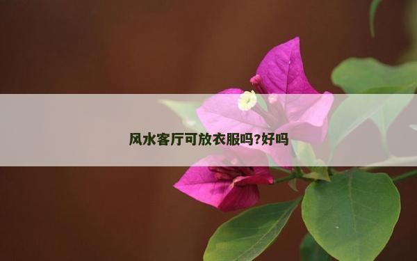 風水客廳可放衣服嗎?好嗎 風水客廳可放衣服嗎?好嗎