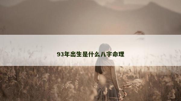 93年出生是什么八字命理 93年出生是什么八字命理