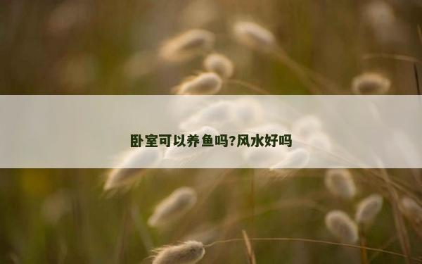 臥室可以養魚嗎?風水好嗎