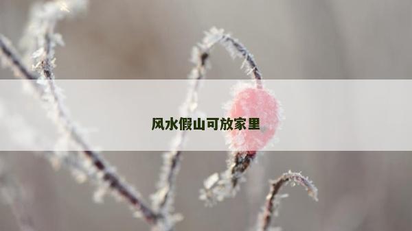 風水假山可放家里 風水假山可放家里