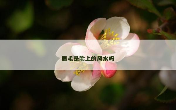 眉毛是臉上的風水嗎