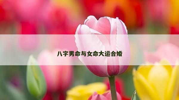 八字男命與女命大運合婚 八字男命與女命大運合婚