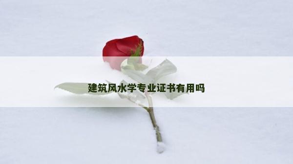 建筑風(fēng)水學(xué)專業(yè)證書有用嗎 建筑風(fēng)水學(xué)專業(yè)證書有用嗎