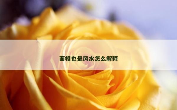 面相也是風(fēng)水怎么解釋