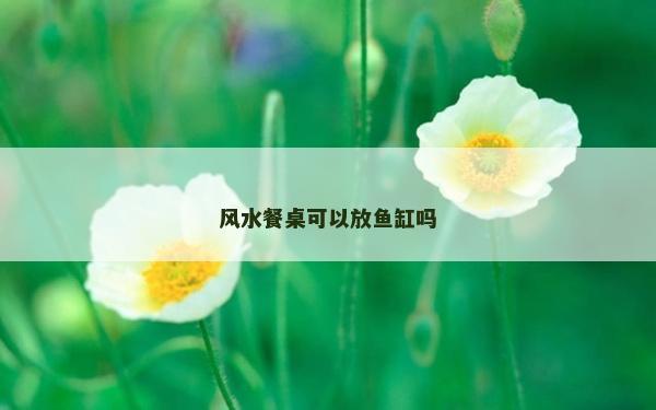 風水餐桌可以放魚缸嗎