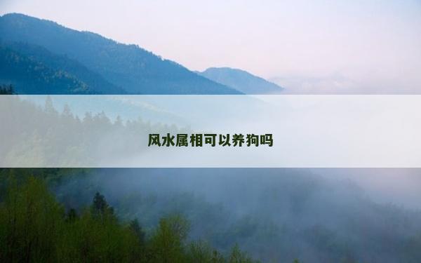 風水屬相可以養狗嗎