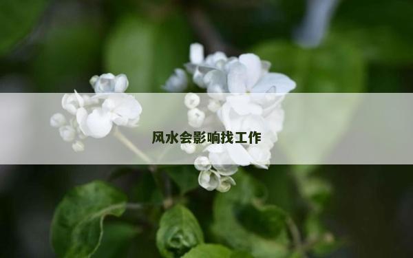 風水會影響找工作 風水會影響找工作