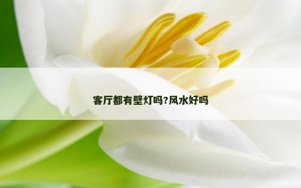 客廳都有壁燈嗎?風(fēng)水好嗎