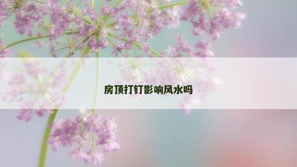 房頂打釘影響風(fēng)水嗎