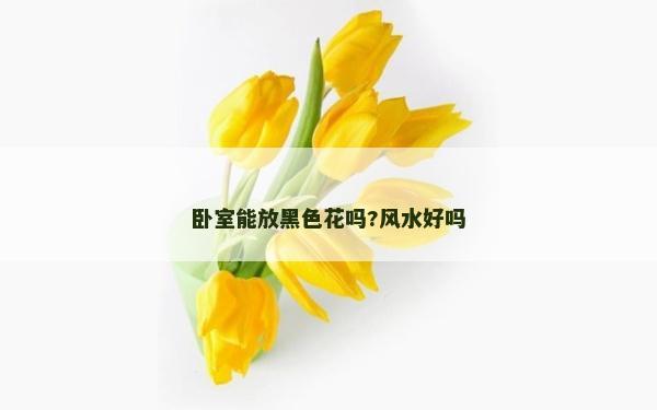 臥室能放黑色花嗎?風(fēng)水好嗎