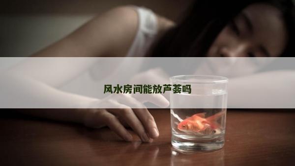 風水房間能放蘆薈嗎