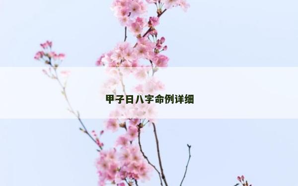 甲子日八字命例詳細