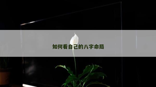 如何看自己的八字命局