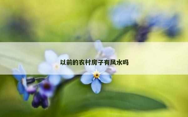 以前的農(nóng)村房子有風(fēng)水嗎