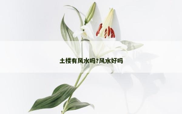 土樓有風水嗎?風水好嗎
