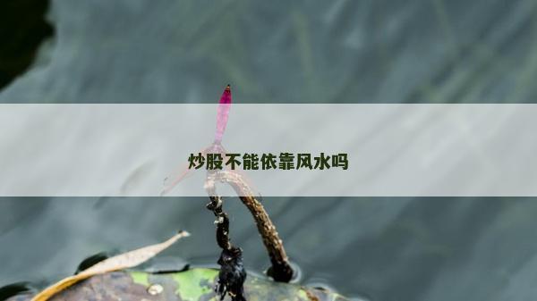炒股不能依靠風水嗎 炒股不能依靠風水嗎