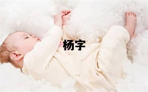楊字五行屬什么 楊字取名寓意男孩
