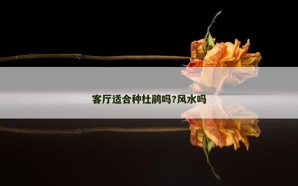 客廳適合種杜鵑嗎?風水嗎