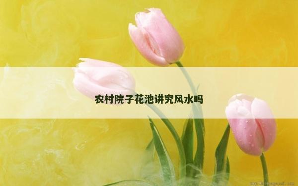 農村院子花池講究風水嗎