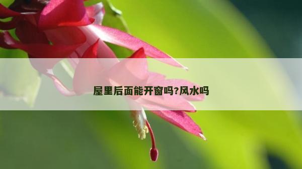 屋里后面能開窗嗎?風(fēng)水嗎