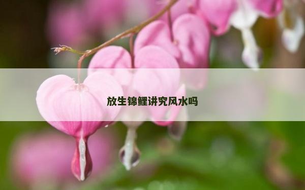 放生錦鯉講究風水嗎 放生錦鯉講究風水嗎