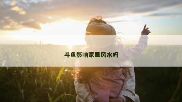 斗魚影響家里風水嗎