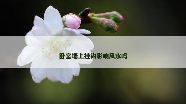 臥室墻上掛鉤影響風水嗎