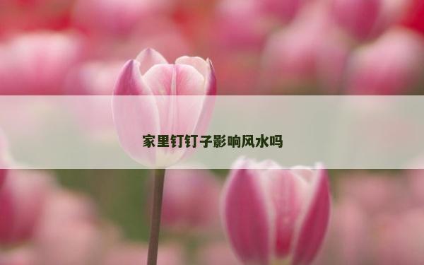 家里釘釘子影響風水嗎