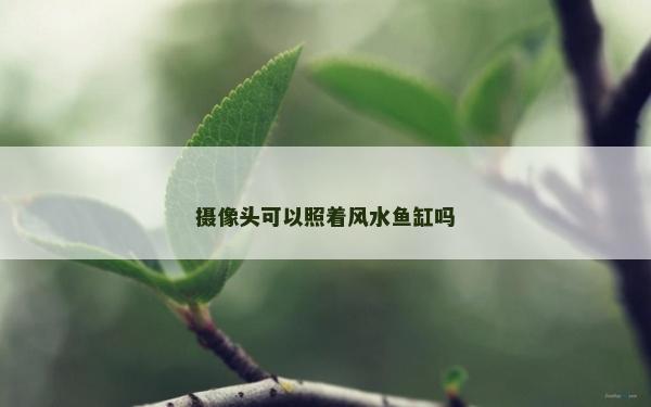 攝像頭可以照著風水魚缸嗎