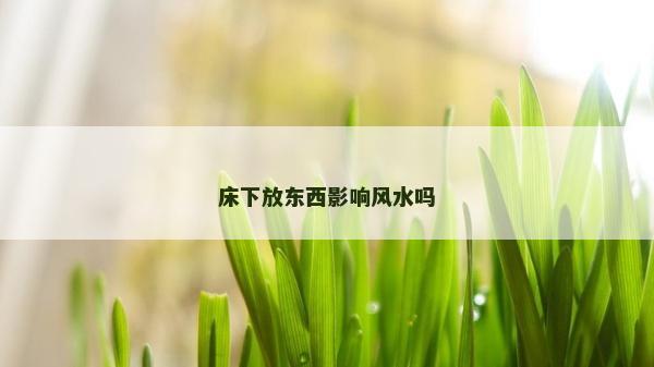 床下放東西影響風水嗎 床下放東西影響風水嗎